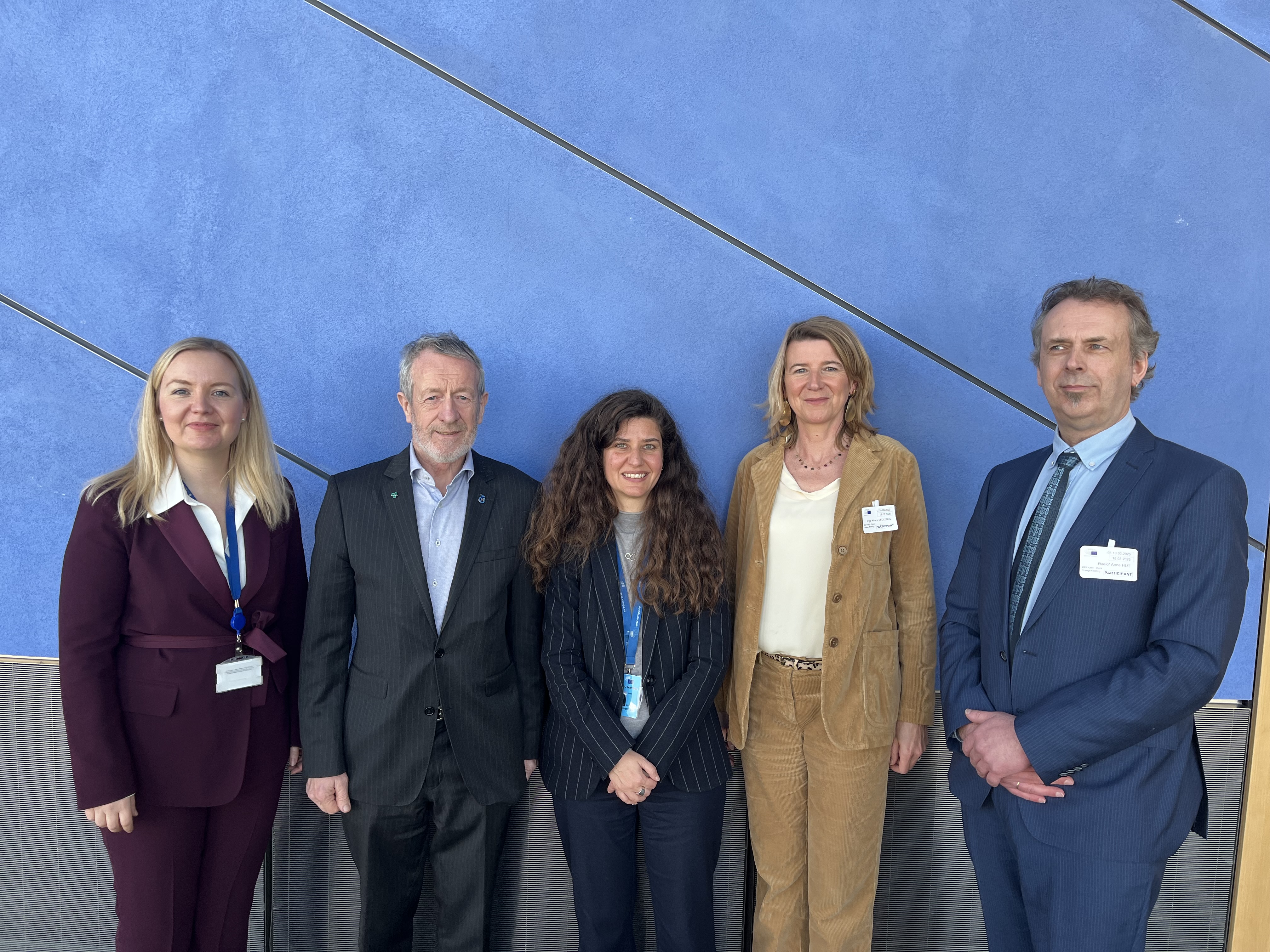 EP_DST_hearing_Söderqvist_Kelly_Nikolopoulou_Declercq_Hut_March 2025